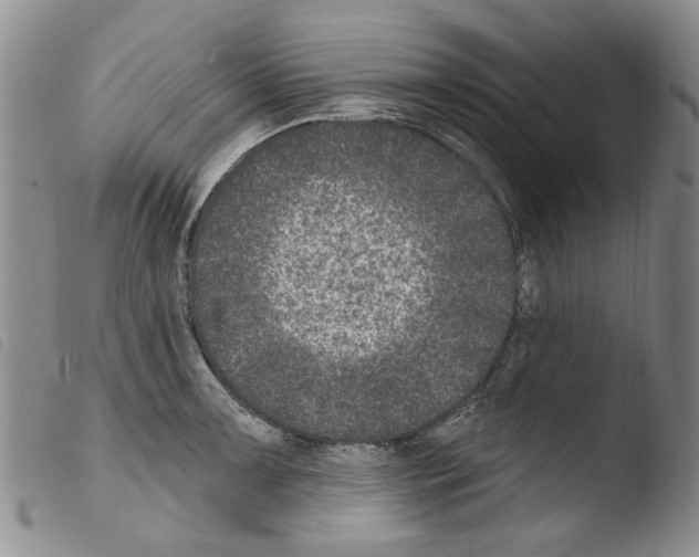 X0000103461091200810240944