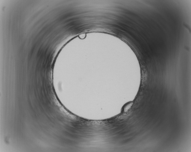 X0000103461092200810240944