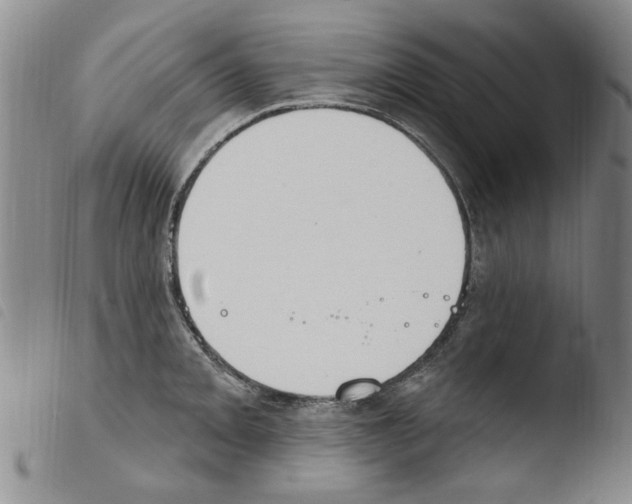 X0000103461093200810240944