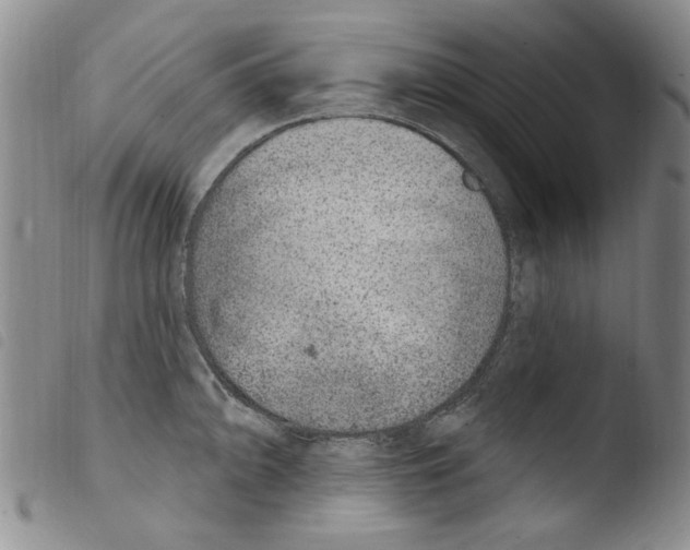 X0000103461094200810240944
