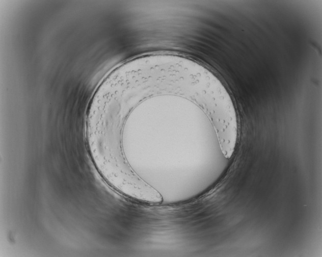 X0000103461095200810240943