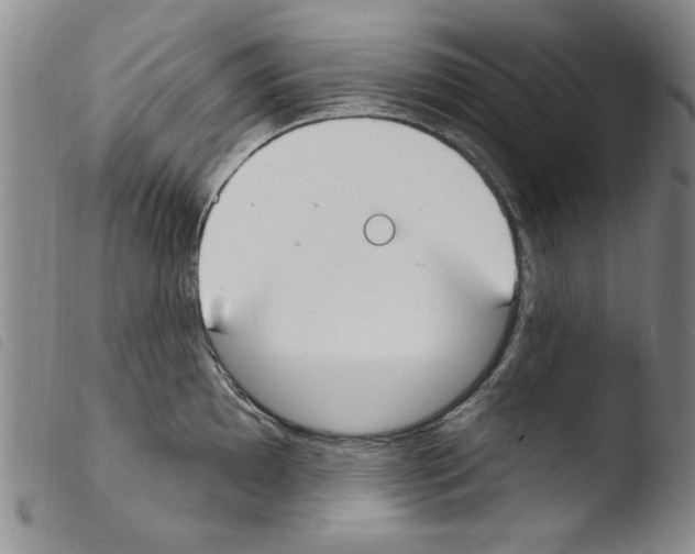 X0000103461097200810240943