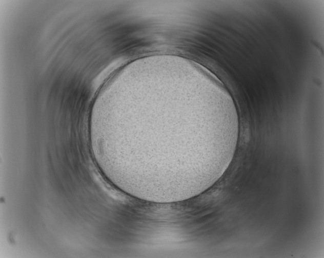 X0000103461098200810240943