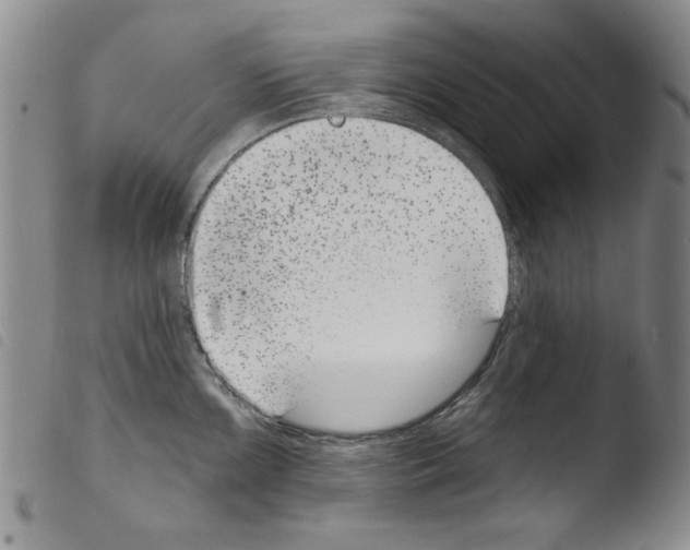 X0000103461099200810240943