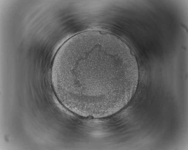 X0000103461100200810240943