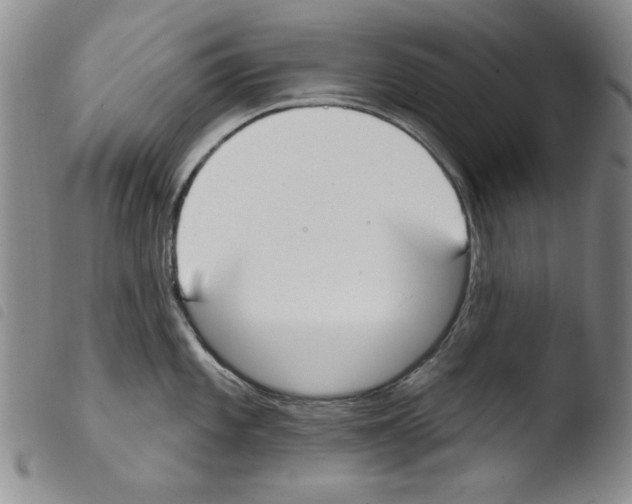 X0000103461101200810240943