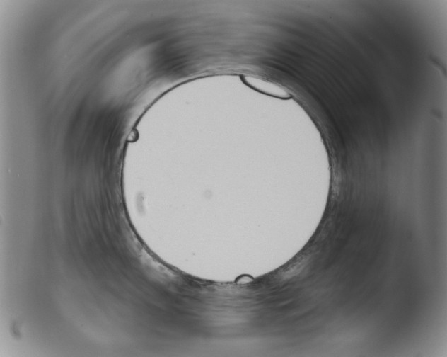 X0000103461102200810240943