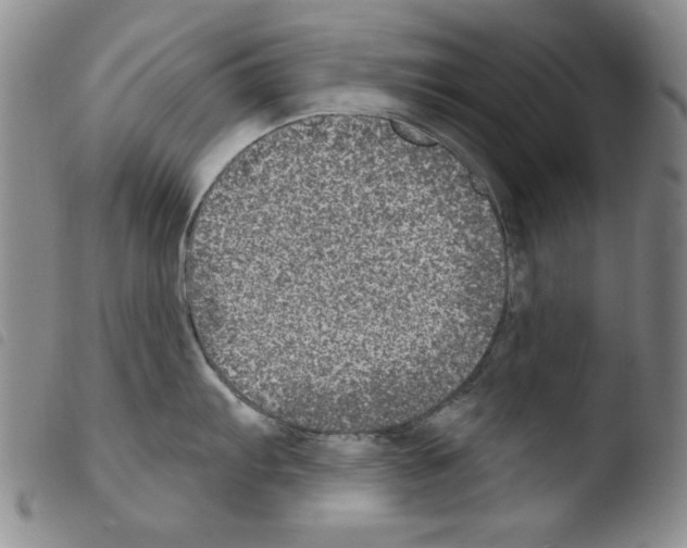X0000103461103200810240943