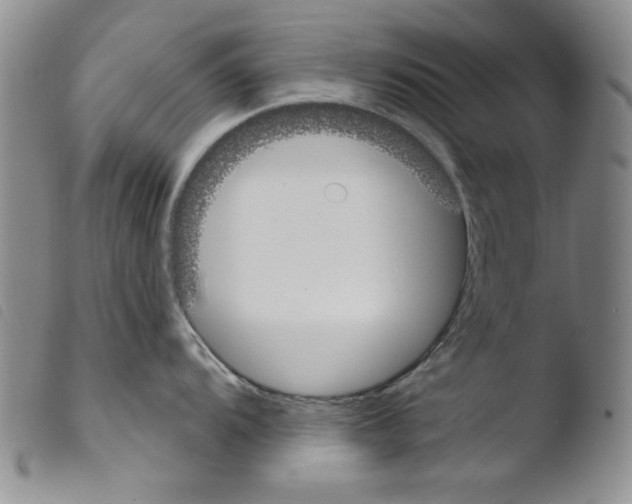 X0000103461104200810240943