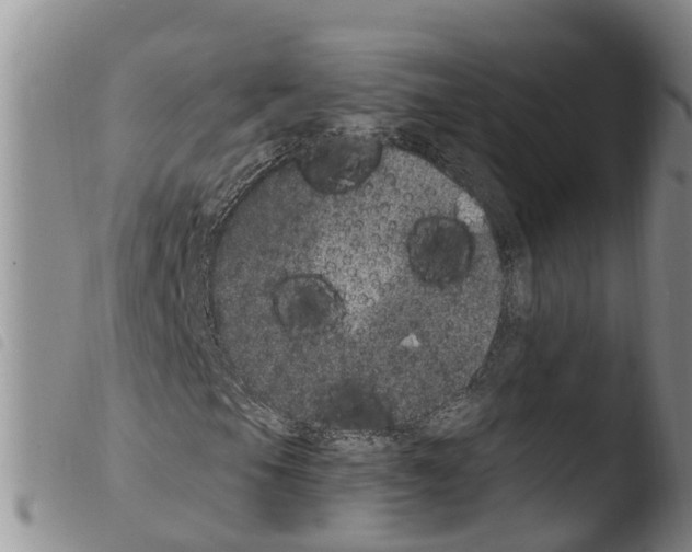 X0000103461105200810240943