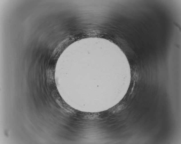 X0000103461106200810240943