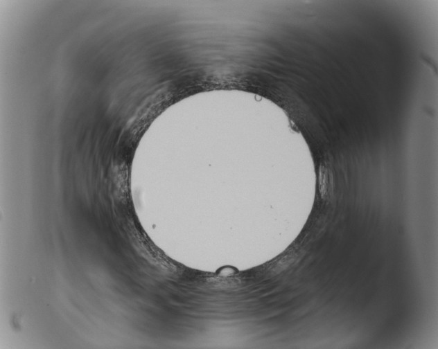 X0000103461107200810240943
