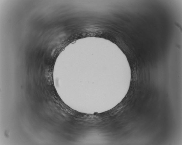 X0000103461109200810240943