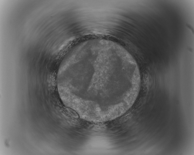 X0000103461110200810240943