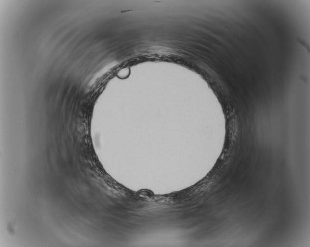 X0000103461112200810240943