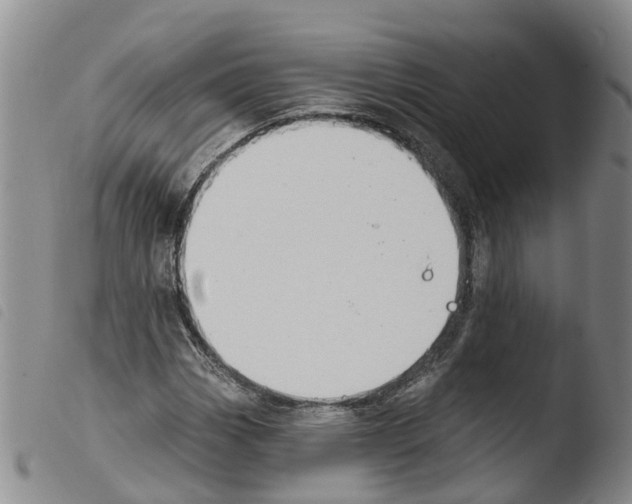 X0000103461113200810240943