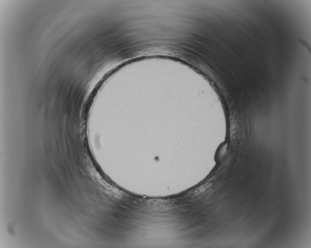 X0000103461116200810240943