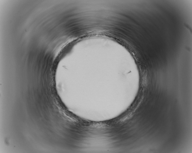 X0000103461117200810240943