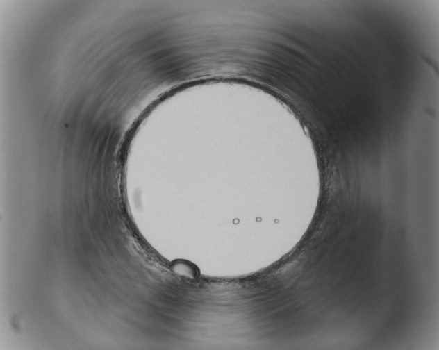 X0000103461118200810240943