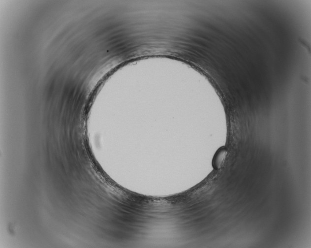 X0000103461119200810240943