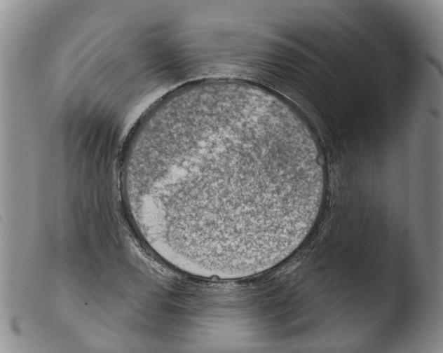 X0000103461120200810240943