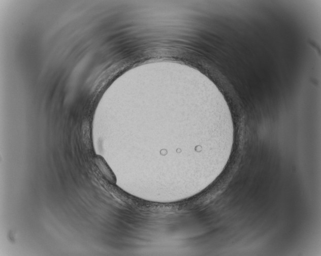 X0000103461121200810240943