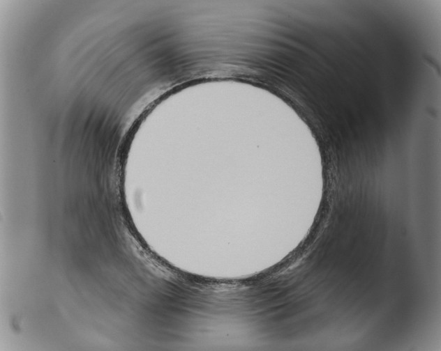X0000103461122200810240943