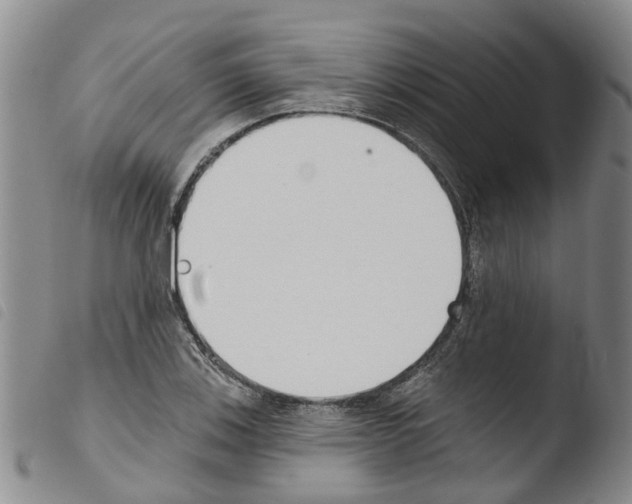 X0000103461123200810240943