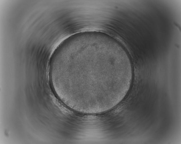 X0000103461124200810240943
