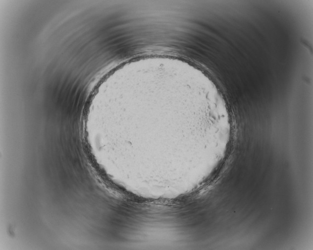 X0000103461125200810240943