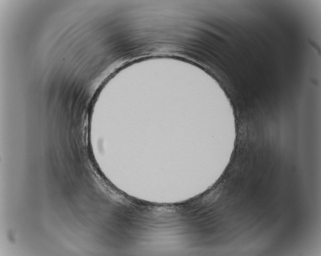 X0000103461126200810240943