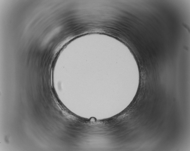 X0000103461127200810240943