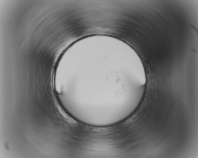 X0000103461128200810240943