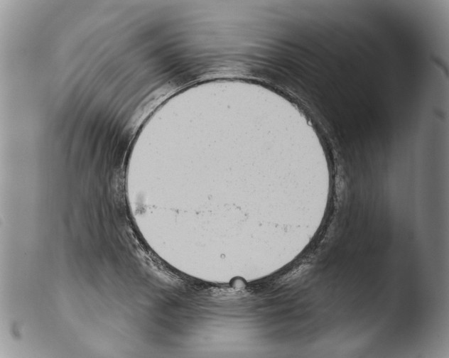 X0000103461129200810240943