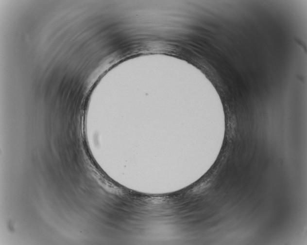 X0000103461130200810240943