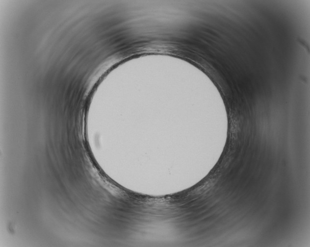 X0000103461131200810240943