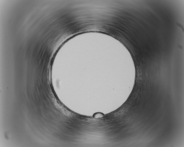 X0000103461132200810240943