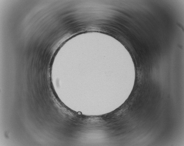 X0000103461133200810240943