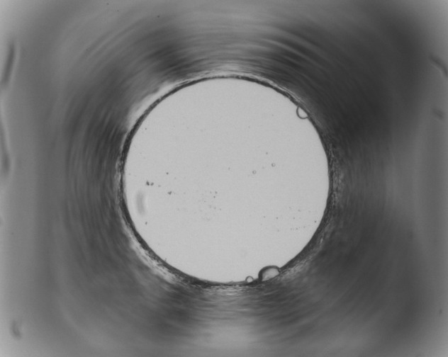 X0000103461134200810240943