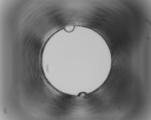 X0000103461135200810240943