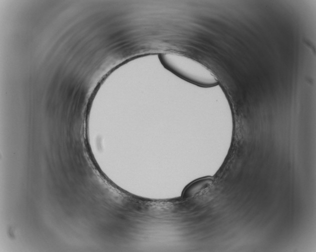 X0000103461136200810240943