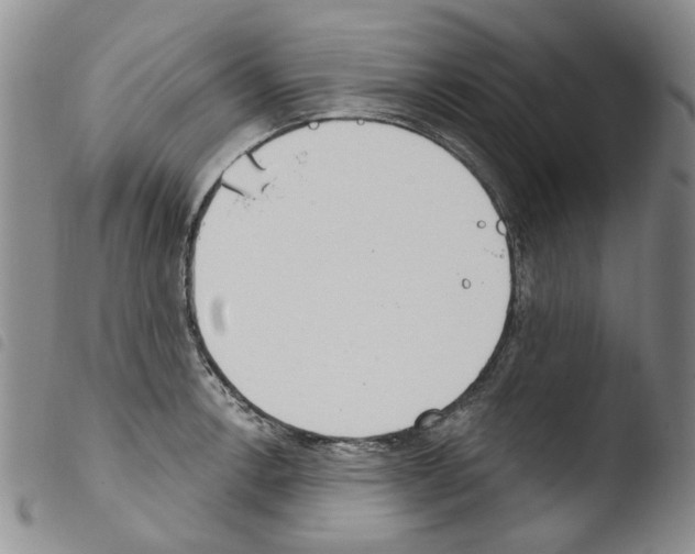 X0000103461138200810240943