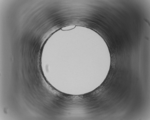 X0000103461139200810240943