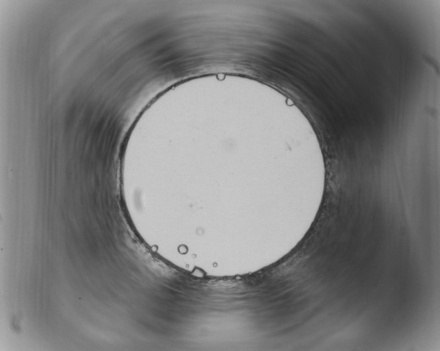 X0000103461140200810240943