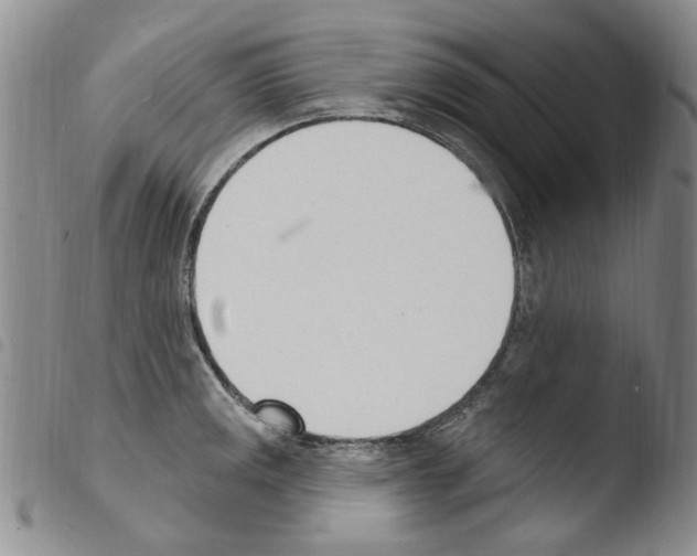 X0000103461141200810240943