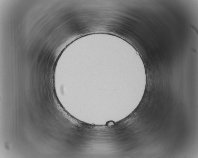 X0000103461142200810240943