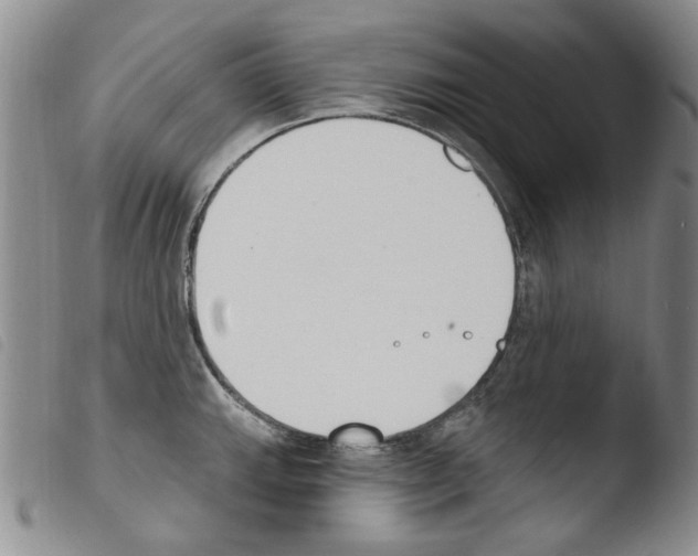 X0000103461143200810240943