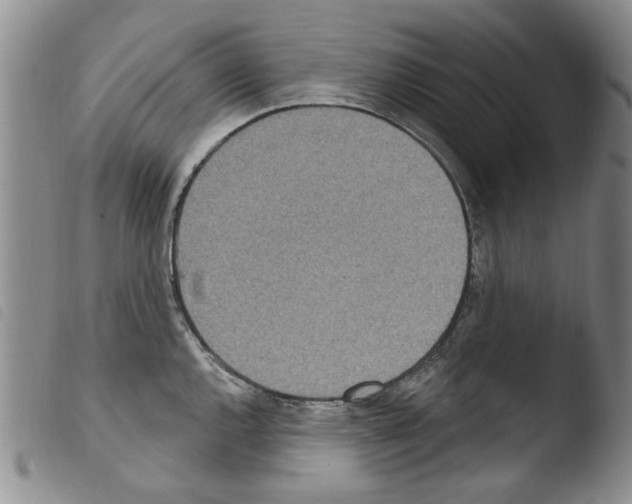 X0000103461144200810240943