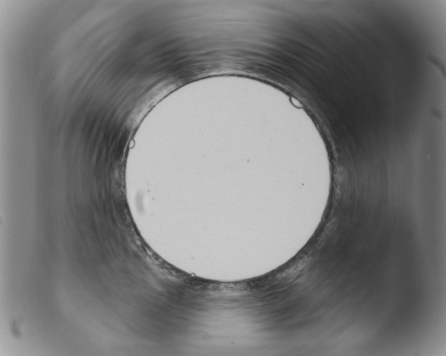 X0000103461145200810240943