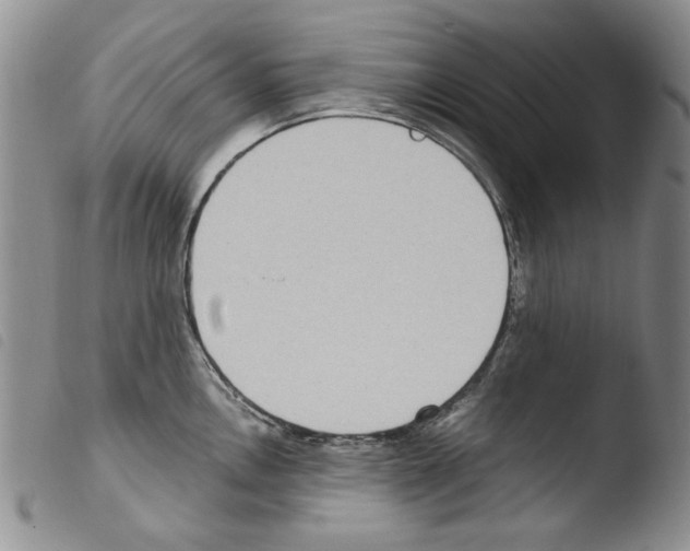 X0000103461146200810240943